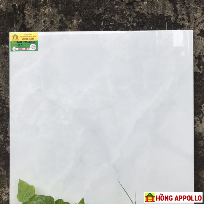 Gạch lát nền phòng khách sang trọng 60X60- Hongappollo